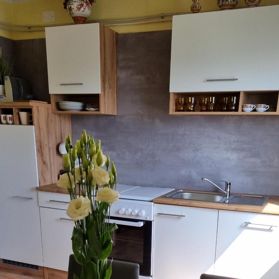 Apartma Tanja -kamnik *
