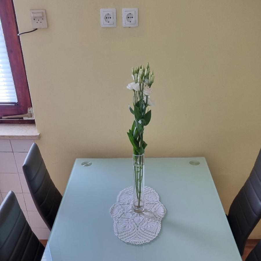 Apartma Tanja -kamnik Appartement *